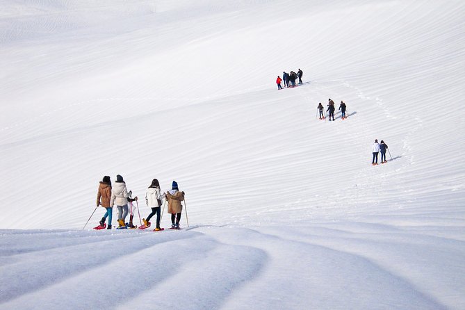 Snowshoeing Fun Tour from Cluj Napoca - How Tudor’s guiding shapes the day