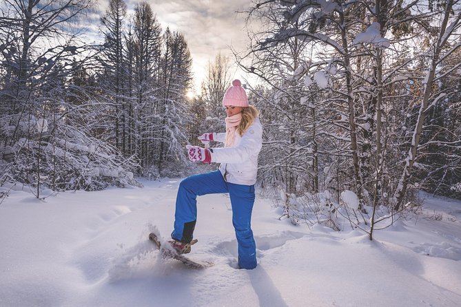 Snowshoeing Fun Tour from Cluj Napoca - Who should book this winter outing?