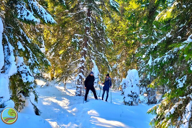 Snowshoeing Fun Tour from Cluj Napoca - Fitting snowshoes over your walking boots