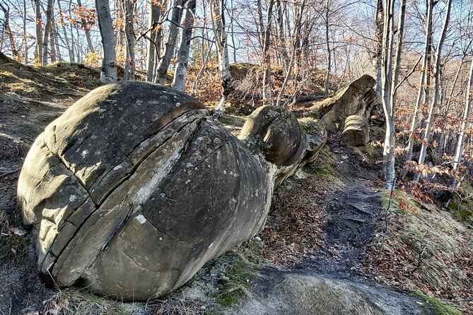 Strange Growing Stones and Mud Volcanoes in Buzau County - Berca’s cold mud volcanoes