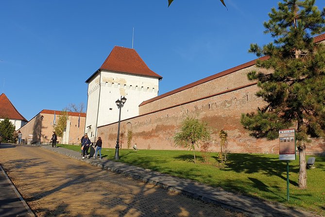 Targu Mures 3 hours walking tour - The Cultural Palace and its Mirror Hall