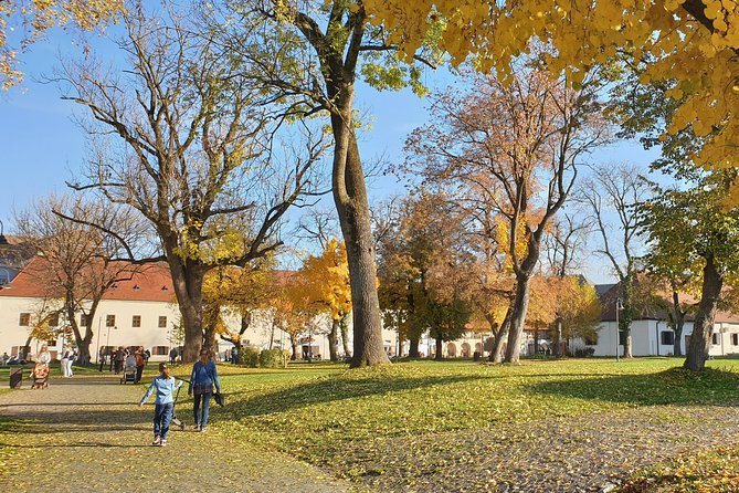 Targu Mures 3 hours walking tour - Târgu Mureș Fortress and its seven bastions