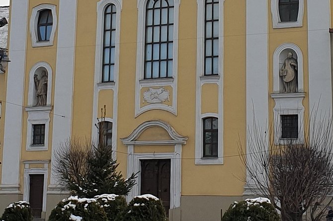 Targu Mures 3 hours walking tour - Price, timing, and walking effort