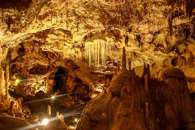 The Bear's Cave - One-Day Air conditioned car Tour from Oradea - Key points to know before you book