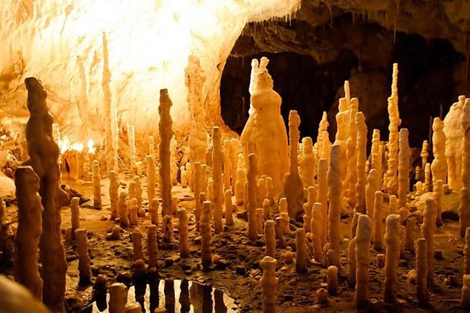 The Bear's Cave - One-Day Air conditioned car Tour from Oradea - The free ethnographic museum adds a local second act