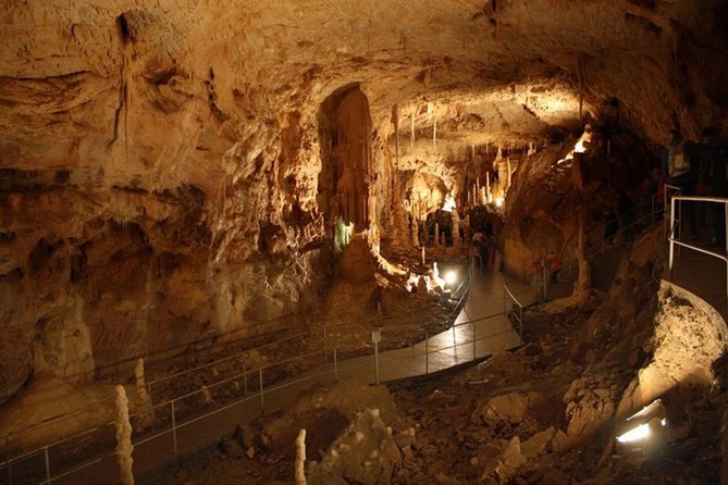 The Bear's Cave - One-Day Air conditioned car Tour from Oradea - Food, drinks, and the flexible middle of the day