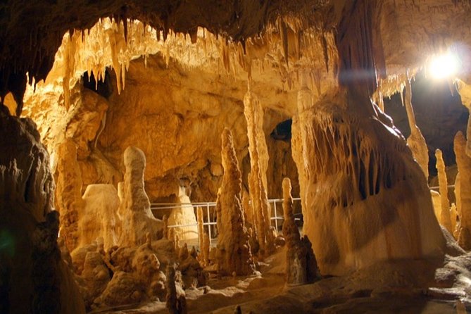 The Bear's Cave - One-Day Air conditioned car Tour from Oradea - What the $347.28 group price really means