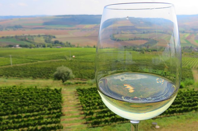 The wine route by bike - Five details that make this wine ride different
