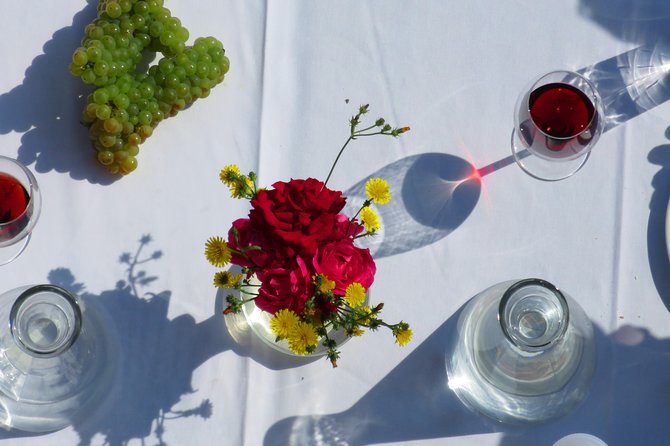 The wine route by bike - From Bucharest to Urlati and Bellu Manor