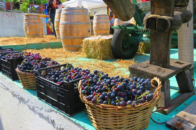 The wine route by bike - Rotenberg Winery and the gravity-fed cellar
