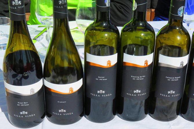 The wine route by bike - Weather, timing, and practical planning