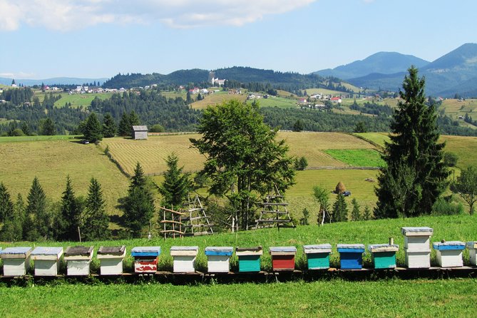 The wine route by bike - Who will enjoy this ride most?