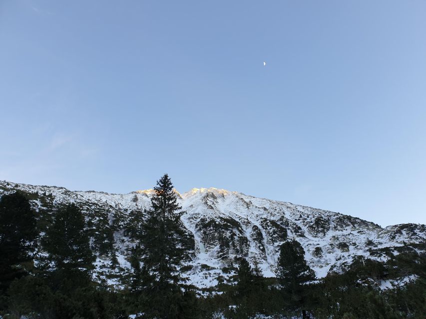 Timisoara Dream Tours: Let's Go Hiking in Retezat Mountains - The 6:00 am departure from Timisoara