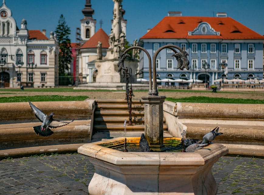 Timisoara: Private Walking Tour with a Local Guide - Is $81 per person a fair price?