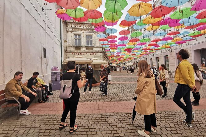 Timişoara: Private Walking Tour with Local Guide - Architecture, the cathedral, and public parks