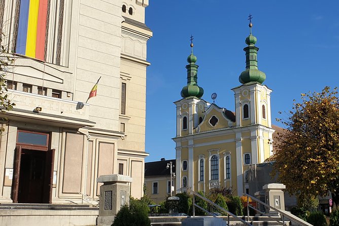 Tirgu Mures Airport Private Transfer - Meeting a driver who watches your flight