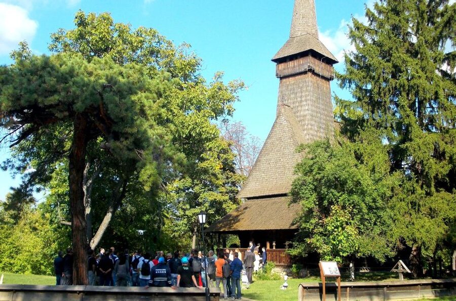 Traditions in Bucharest: Village Museum and Wine Tasting - Should you book it?
