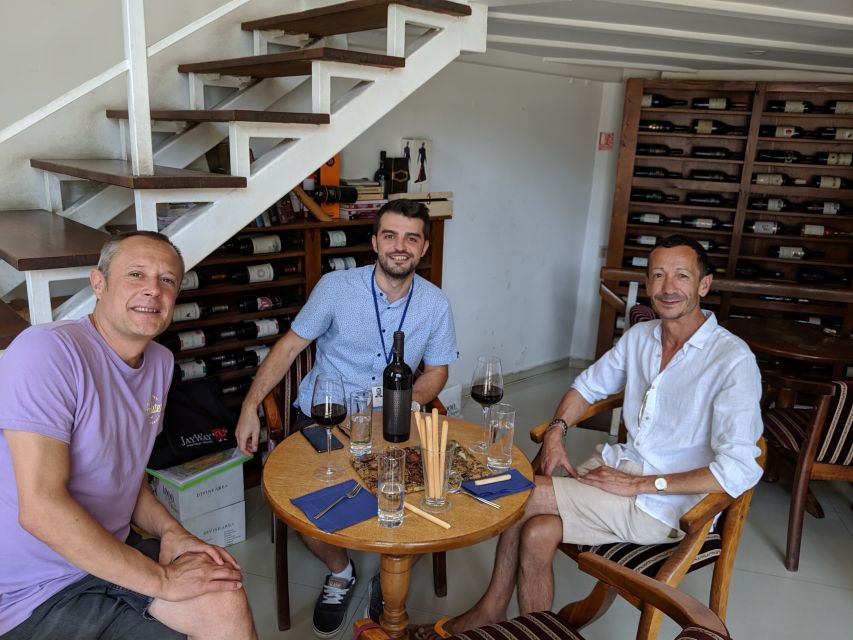 Traditions in Bucharest: Village Museum and Wine Tasting - Walking through the National Village Museum