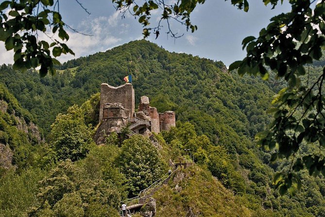 Transfagarasan Road & Balea Lake - Private Tour from Bucharest - Transport, lunch, and the real value of $215.54