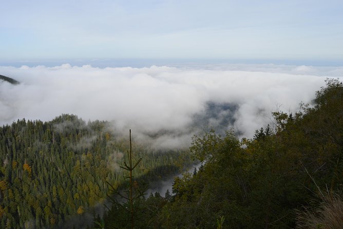 Transfagarasan, Vidraru and Poenari Fortress Tour from Sibiu - Curtea de Arges Monastery and Romania’s royal past