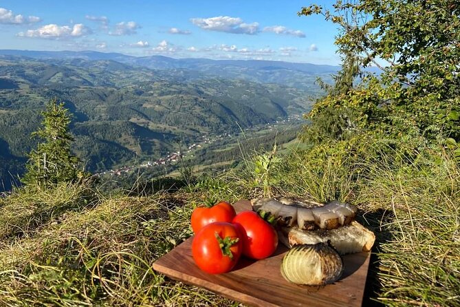Transfer Bucharest -Brasov with Targoviste and Bran Castle visits - Why private transport matters on this route