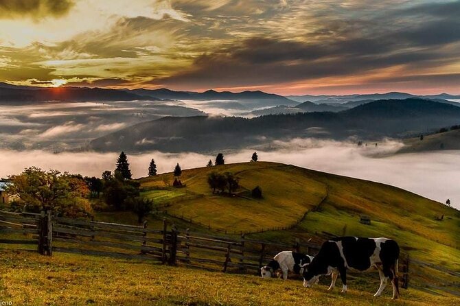 Transfer Bucharest -Brasov with Targoviste and Bran Castle visits - What the $190.81 price really covers