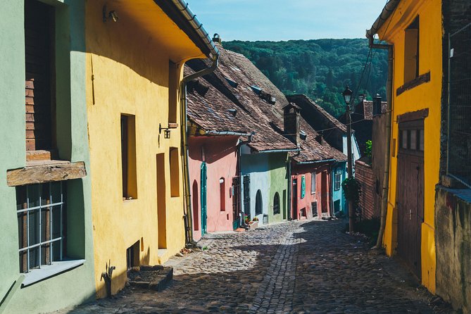 Transylvania Castles 4-day tour from Bucharest - What the guide adds to the experience