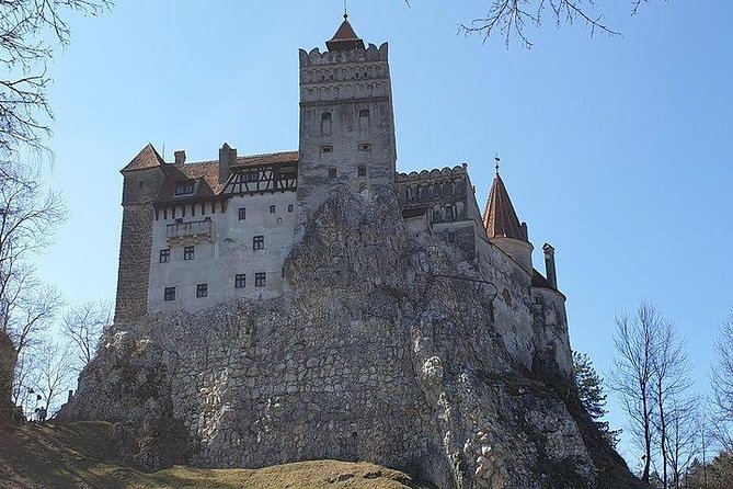 Transylvania Castles Tour from Bucharest - Who Should Book This Tour