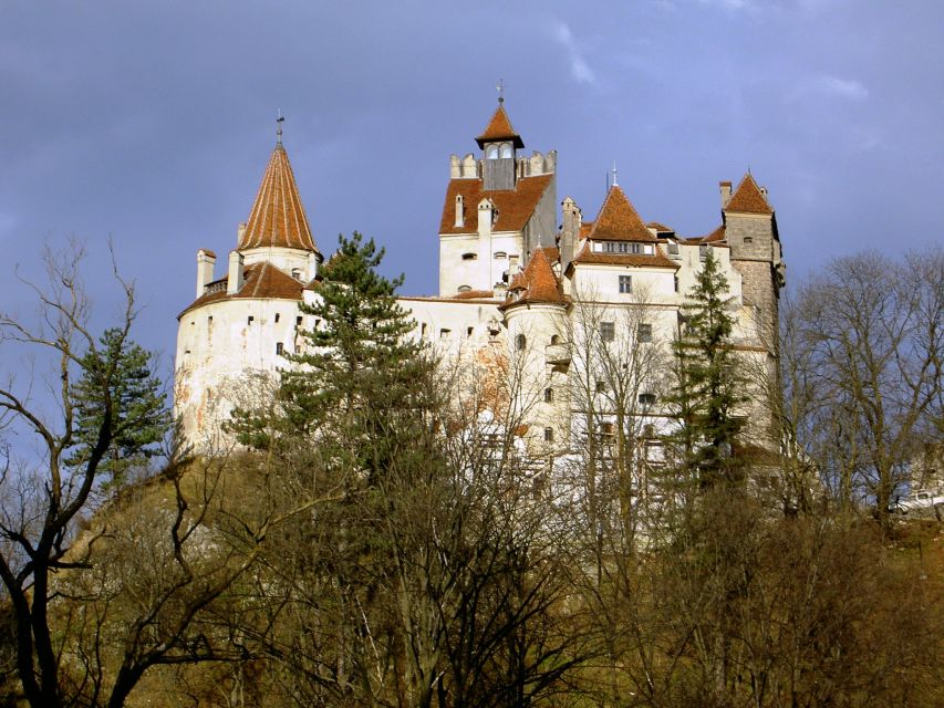 Transylvania: Cultural Full-Day Trip by Minivan - The minivan, guide, and private-group value