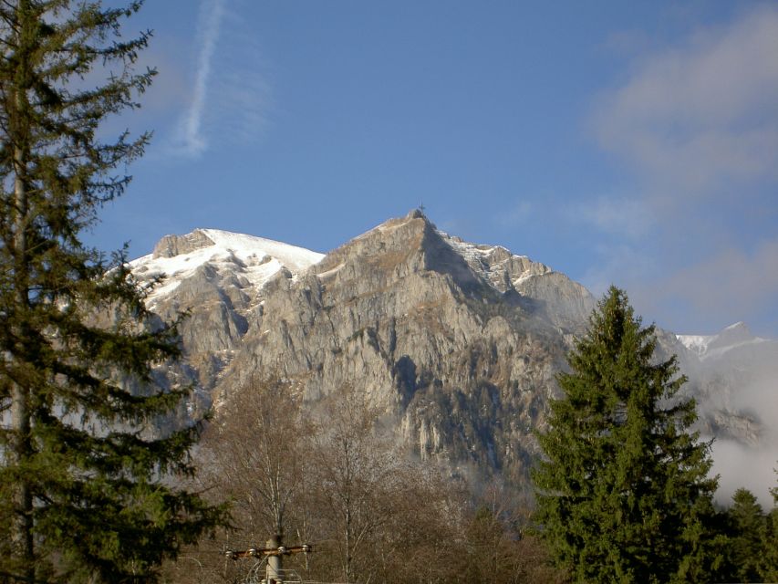 Transylvania: Cultural Full-Day Trip by Minivan - Sinaia and the royal rooms of Peles Castle