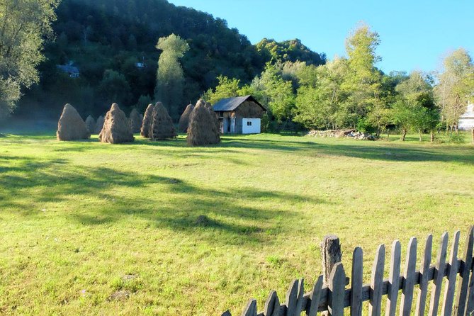 Transylvania Day Trip from Bucharest: In Search of Count Dracula - Poenari Castle and the 1,400-step climb