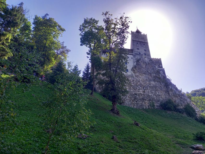 Transylvania: Dracula's Castle and Birthplace Tour - Who Will Enjoy This Tour Most?