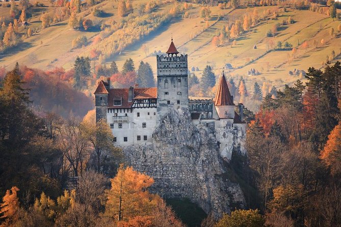 Transylvania Private Castle Day Trip from Bucharest - What the private vehicle adds to the price