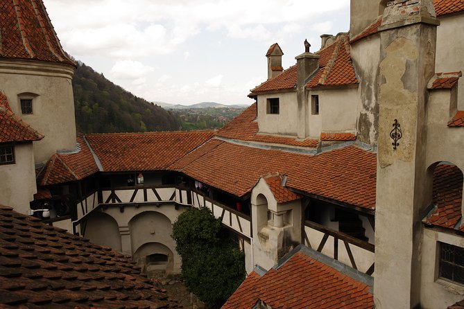 Transylvania with Dracula Castle, Bear Sanctuary and Brasov - One hour in medieval Brașov