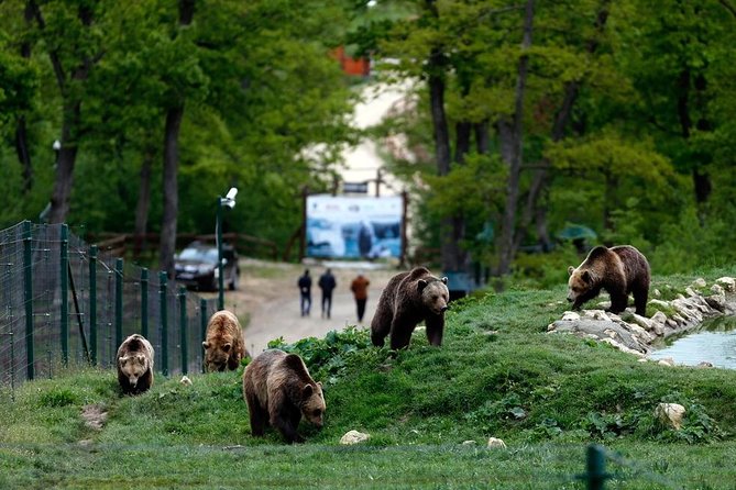 Transylvania with Dracula Castle, Bear Sanctuary and Brasov - The long ride into the Carpathians