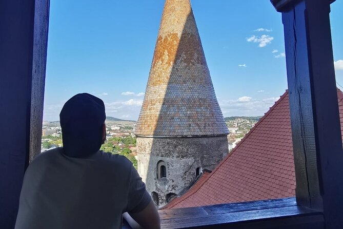 Turda Salt Mine, Corvin Castle and Alba Fortress from Cluj - A full day in a small vehicle