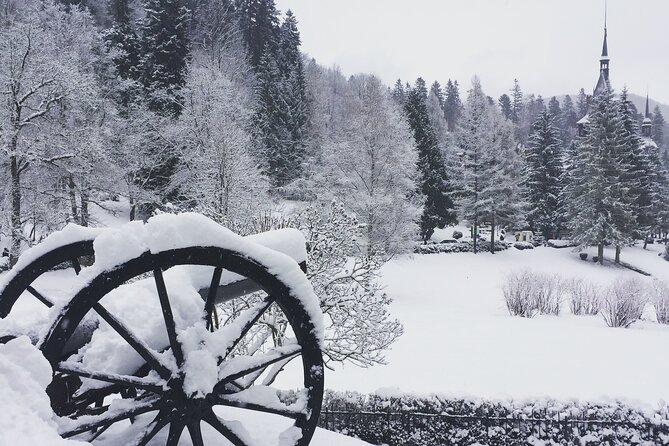 Uncover Transylvania: Private 2-Day Tour Bears & Medieval Wonders - Cantacuzino Castle and the Wednesday Connection