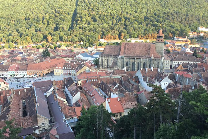 Uncover Transylvania: Private 2-Day Tour Bears & Medieval Wonders - The Return to Bucharest
