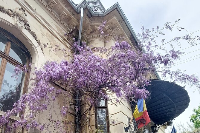 Unique Tour of Hidden Bucharest - Timing, Group Size, and Physical Demands