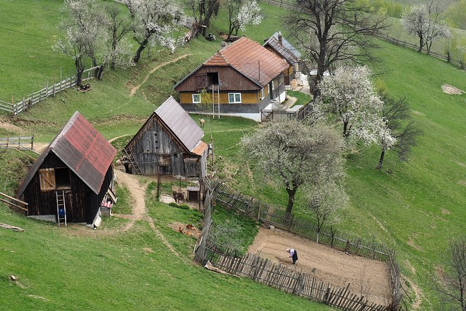 Village life in Transylvanian Carpathian mountains - 8 days - Why This Carpathian Route Works