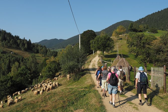Village life in Transylvanian Carpathian mountains - 8 days - Day 5: Fundata and Fundatica at 1,360 Meters