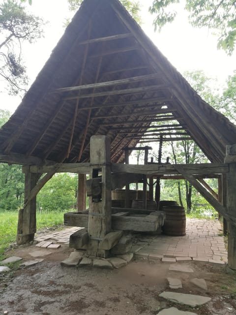 Village Museum Bucharest Guided Tour - Dimitrie Gusti Village Museum: Romania in one stop