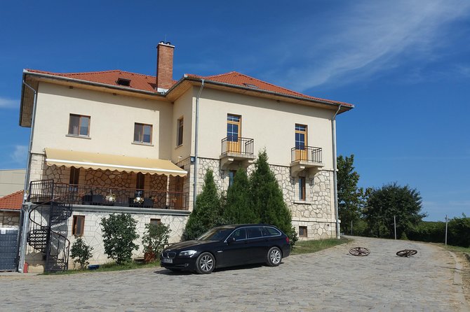 Vineyards and wine tasting experience - Day two: old cellar traditions and Dealu Mare