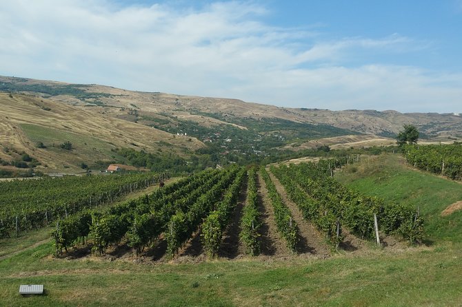 Vineyards and wine tasting experience - Booking advice, cancellation, and final value