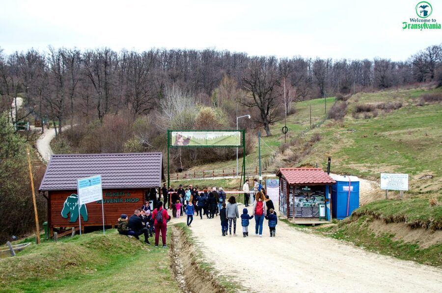 Visit Bear Sanctuary and Bran Castle from Brasov - Quick points before you book