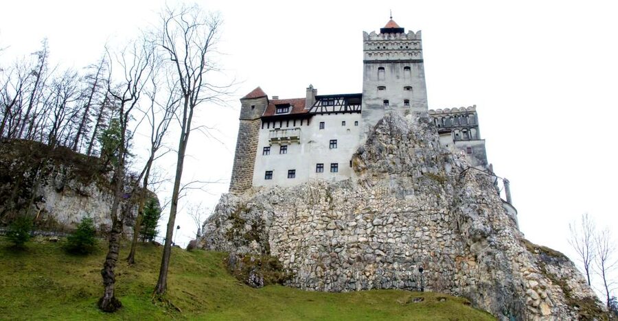 Visit Bear Sanctuary and Bran Castle from Brasov - Why this pairing works so well