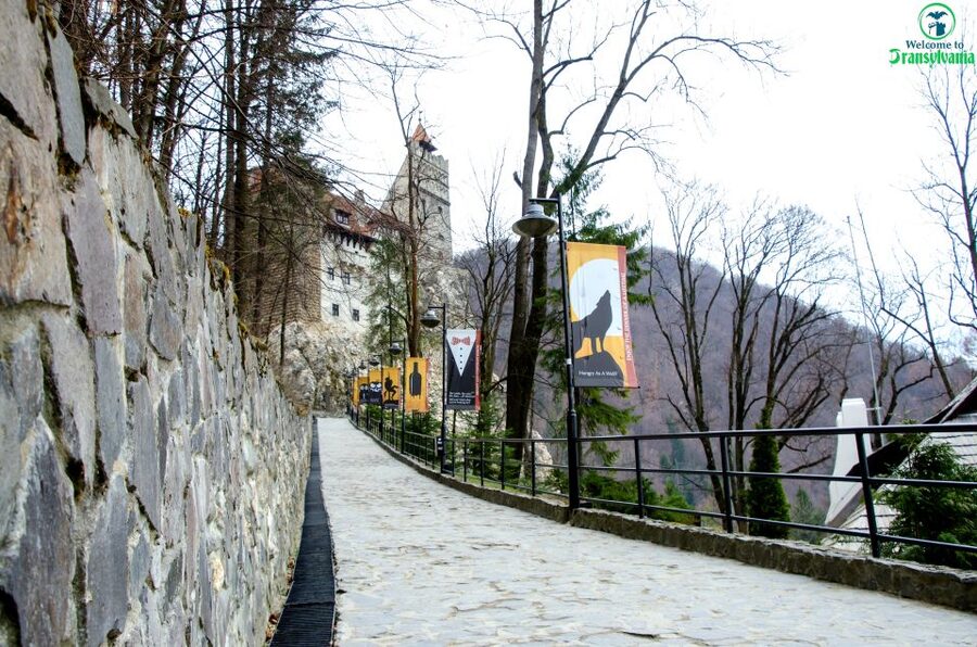 Visit Bear Sanctuary and Bran Castle from Brasov - Bran Castle beyond the Dracula label