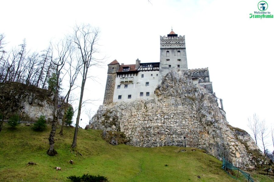 Visit Bear Sanctuary and Bran Castle from Brasov - Practical advice for a better visit