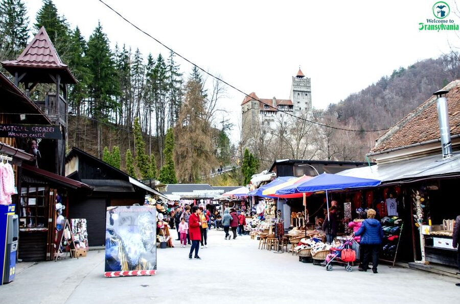Visit Bear Sanctuary and Bran Castle from Brasov - Leaving Brașov in a small van