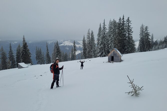 Vladeasa Peak and Bride's Waterfall Day Hike - What Makes the Guide Service Valuable